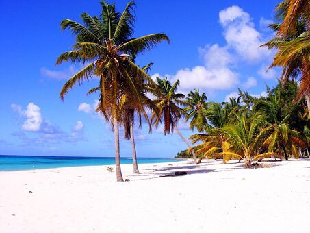 Travelbestgroup's tweet photo. Cayo Santa María , Cuba 🇨🇺 .
.
.
.
.
.
.

#travel #travelblogger #travelgram #travelphotography #travels 
#travelbestclub #travelbestgroup #specialoftheweek https://t.co/jCLsv8Lcsy