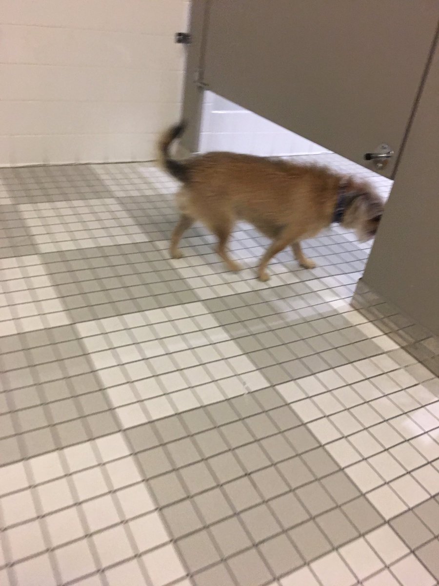 sweatyhairy's tweet photo. using a public stall and he walked in without knocking https://t.co/hfsP2C9Lwx