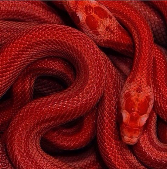 archillect's tweet photo. https://t.co/akTiRQHysQ