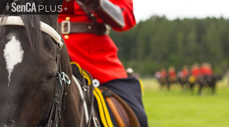 SenateCA's tweet image. Senator Kenny: Canada's RCMP needs new management — it won't be an easy job ow.ly/XFbu30hlP7b #SenCA #cdnpoli