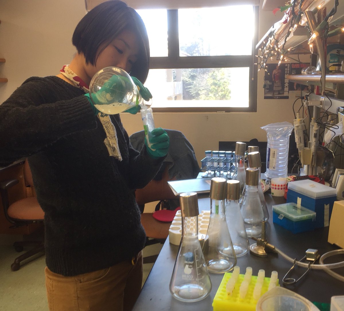 KSamerotte's tweet image. Finished spinning down and freezing yeast from the last timepoint of #1BigBatch. Recruited high school intern extraordinaire @graceyraspberry to get the job finished. @GrantKinsler @PetrovADmitri @TuyaYokoyama