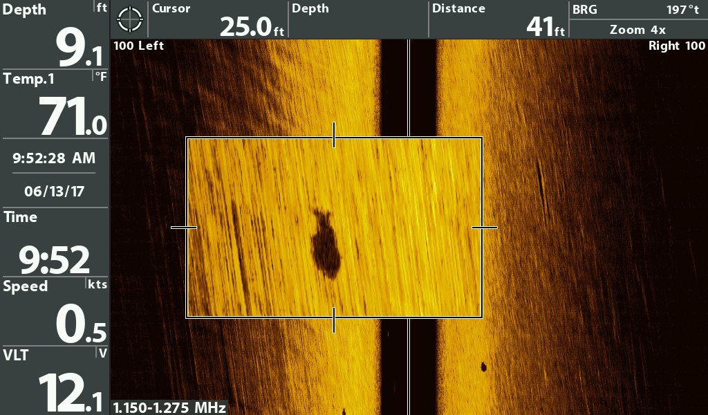 HumminbirdFish tweet picture