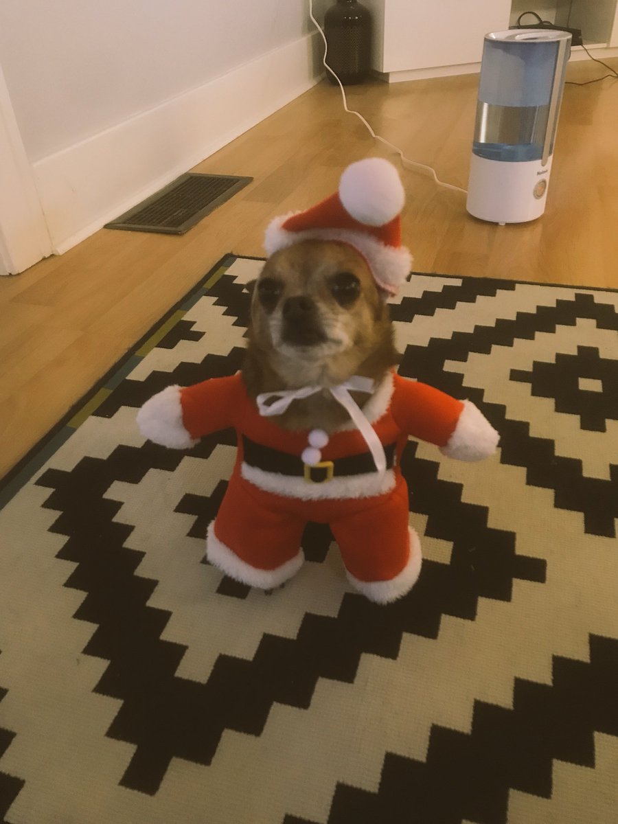 PayneGISA's tweet image. ‘‘Tis the season. #stayhydrated #humidifier