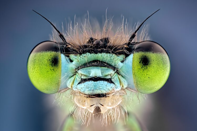 BWPAwards tweet picture