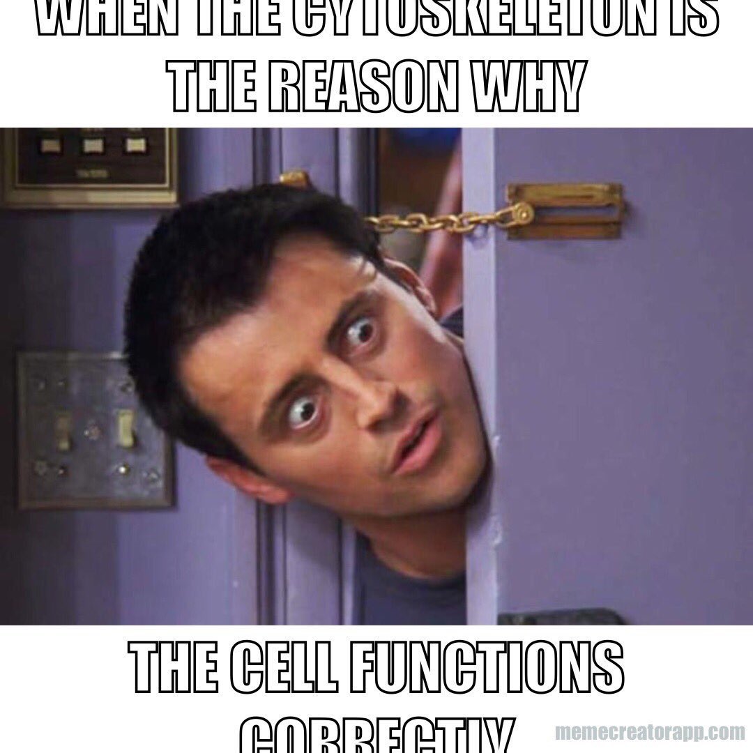 Cytoskeleee's tweet photo. Tomorrow is the big day!! Vote for the glue that holds the cell together!! https://t.co/nDCxYkiNxO