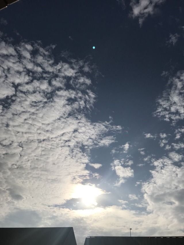 SWEETRthnSUGA_R's tweet photo. Thank you, Jonghyun, for letting us know you made it home safe. #YouDidWellJonghyun
#RosesForJonghyun https://t.co/5Vt7AM65DB