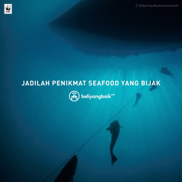 Stok ikan dan ekosistem yang lestari akan menjamin berlangsungnya mata pencaharian nelayan serta bisnis perikanan tangkap secara keseluruhan #BeliYangBaik