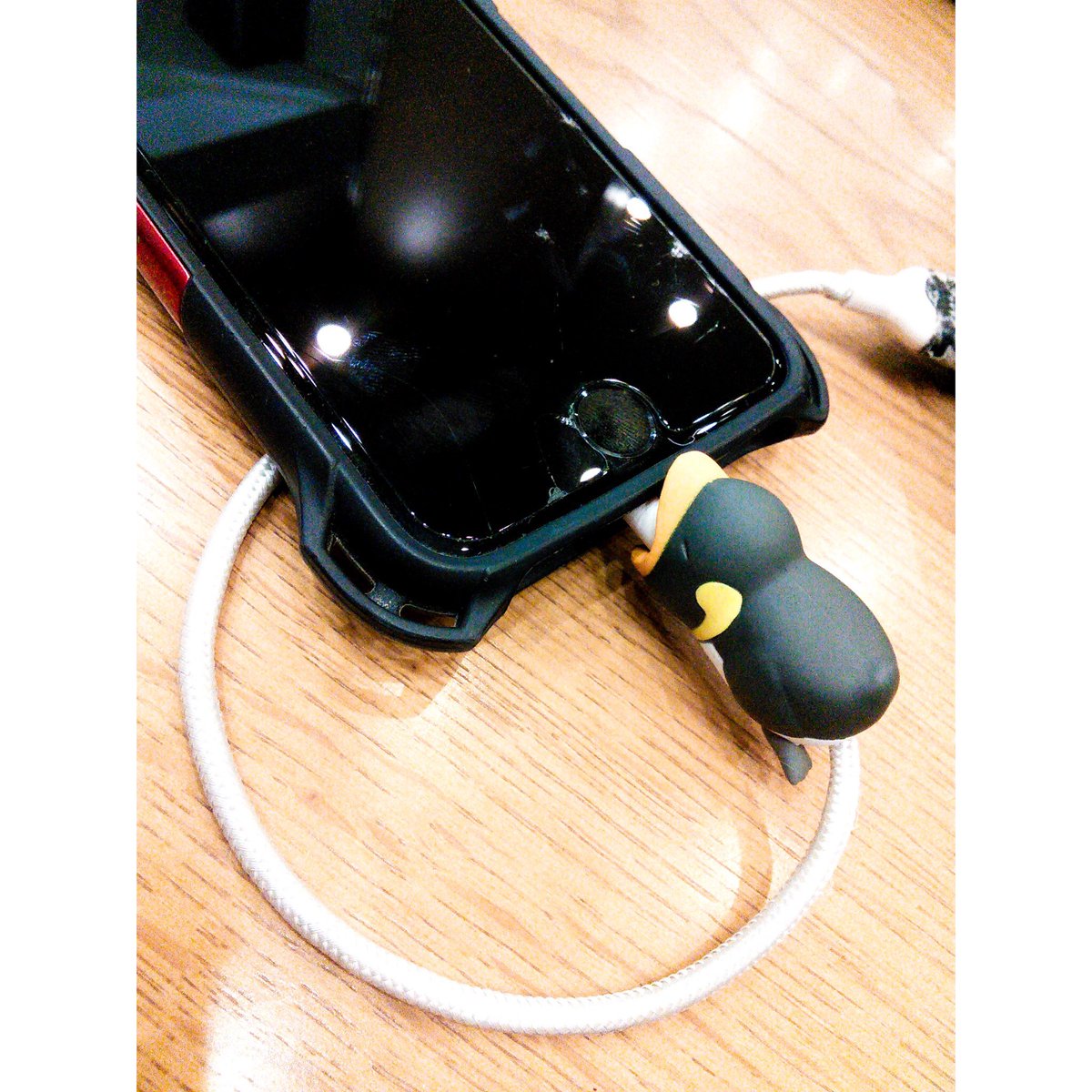 my52tk's tweet photo. ケーブルバイト、かわいい。 https://t.co/mM5CnIciyG