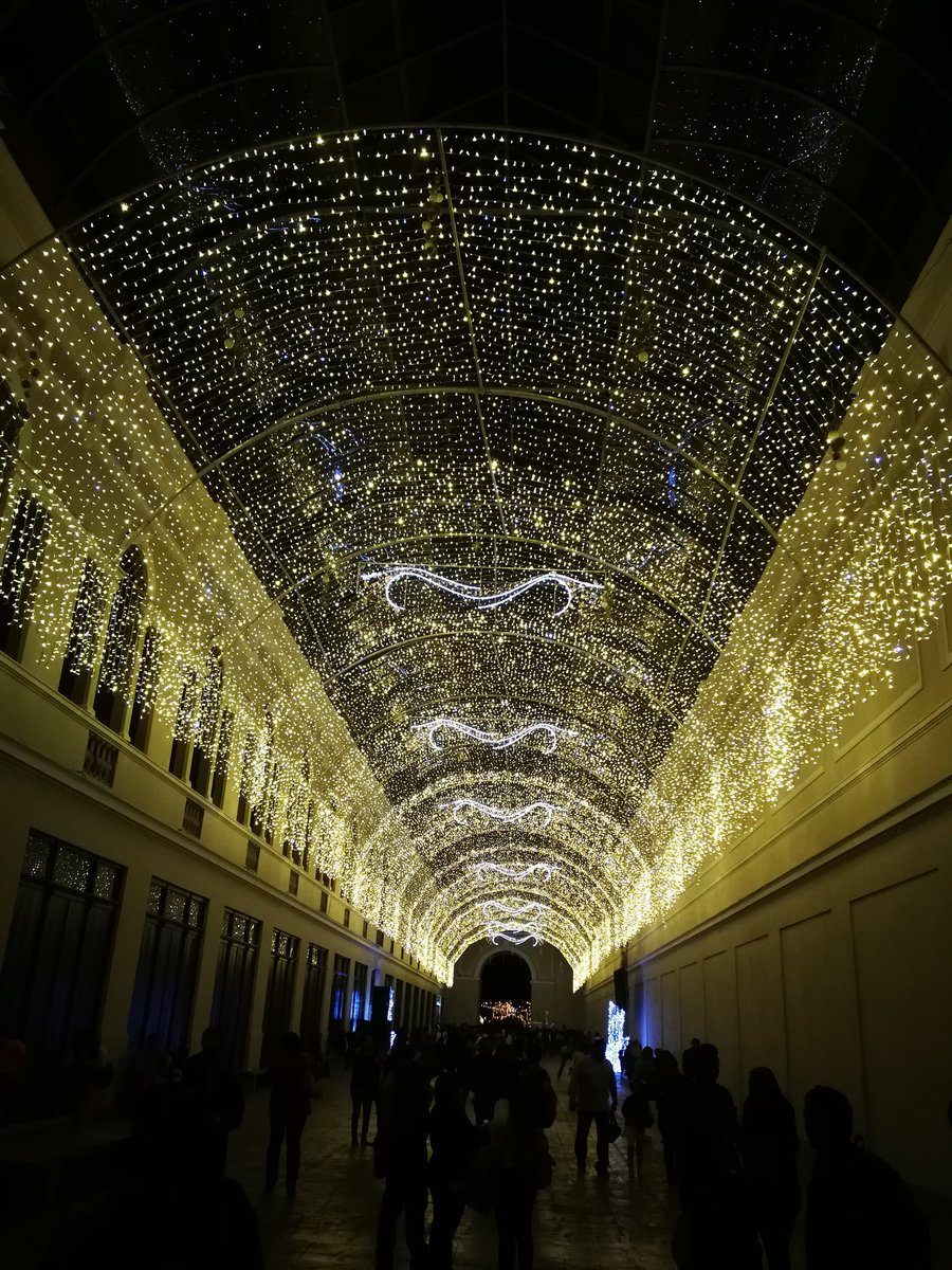 travel_yucatan's tweet image. ¿Sabes como luce la Navidad en la blanca Mérida? Esta es solo una probadita en el corazón de nuestra linda capital. #MéridaEnNavidad #TipsForTravellers