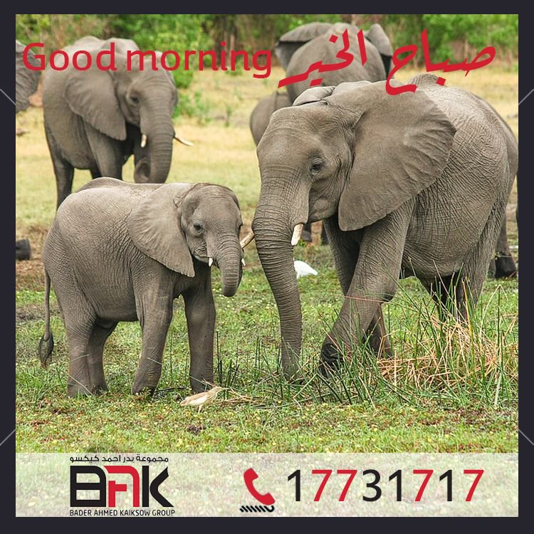 UcoEngineering's tweet image. #GoodMorning #Good_Morning #صباح_الخير #BAK #BAHRAIN #MANTECH #UCOENGINEERING #KAIKSOW #TILES #CERAMIC #CERAMICS #PORCELINE #PORCELAIN #SANITARY_WARE #SANITARYWARE #WASHBASIN #WASH_BASIN #البحرين #يوكو #يوكو_للهندسة #فلسطين #تقرير #Mantech #CCTV #منطق #حماية #System #security