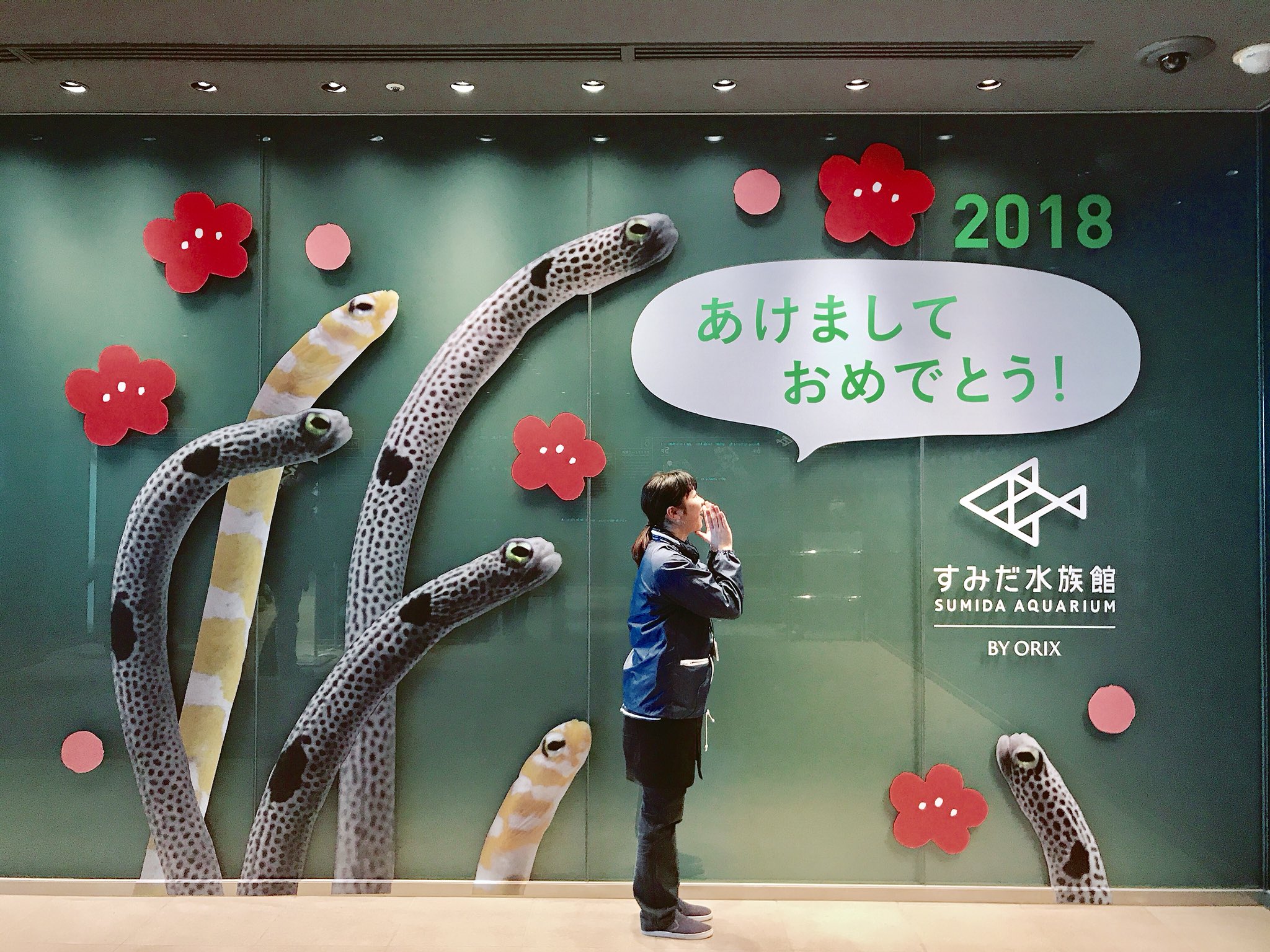 すみだ水族館 公式 A Twitter 一足先に エントランスにはお正月らしいフォトスポットを設置しました 年賀状や新年のあいさつにぴったりですので ぜひ撮影してみてくださいね O O T Co Zjgirxbi1n Twitter