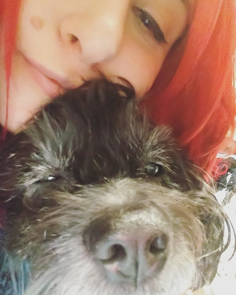ScarletFierceLA's tweet photo. This has been one of our hardest years to date. My christmas wish is for my dog to see again. Please like and retweet our gonfund me to help. 

https://t.co/mFWo26dhp4 https://t.co/j29heyF3rA