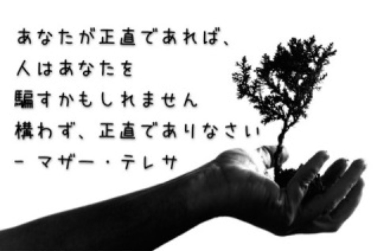 彩乃 共感した人rt いいねください マザーテレサ名言 彩乃 共感した人rt いいねください マザーテレサ名言