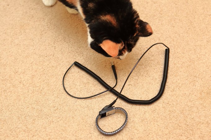 アメリカのコンセントを旅前に調査 形状や電源 電圧は 変圧器情報も Travel Star