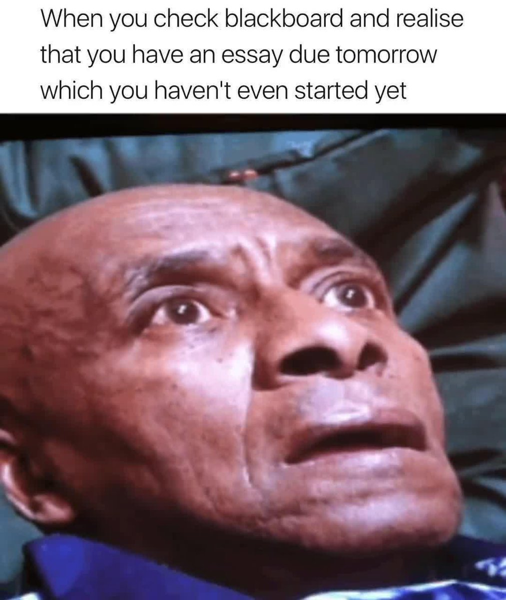 Univershitty (@univershitty_oh) on Twitter photo 