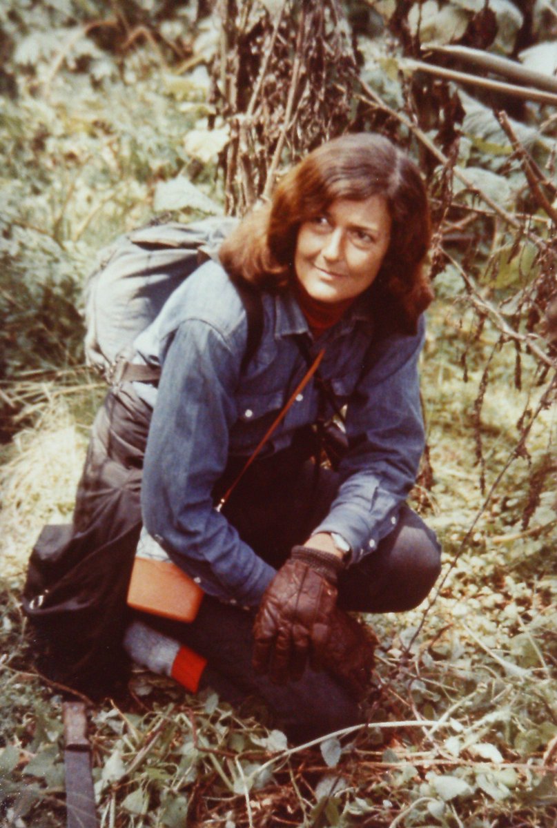 SavingGorillas's tweet photo. “It was something I just felt compelled to do. I had to do it, I can’t explain it.“ 
-Dian #Fossey on why she chose to move to Africa to study gorillas. #SecretsInTheMist #NatGeo https://t.co/3pgkA43Zqa https://t.co/HX18as1FPQ