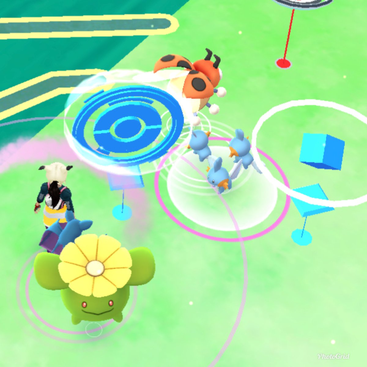 ミズゴロウの巣