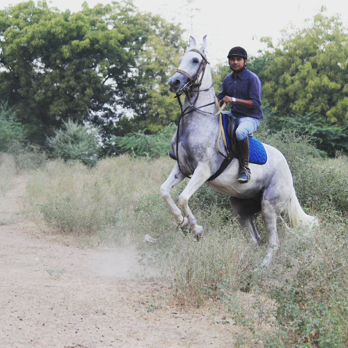 aniruddh18's tweet photo. Ride it like you own it ..LOL😃🏇🏇👍

Astride bold and beautiful marwari mare "Aravali" of Naresh Luhar 

Pc : Krunal Patel 

#marwarihorse
#horserider 
#equestrian 
#aniruddhsinh
#vaghela
#stayequestrian  🏇👍 https://t.co/nBnQhPfAEY