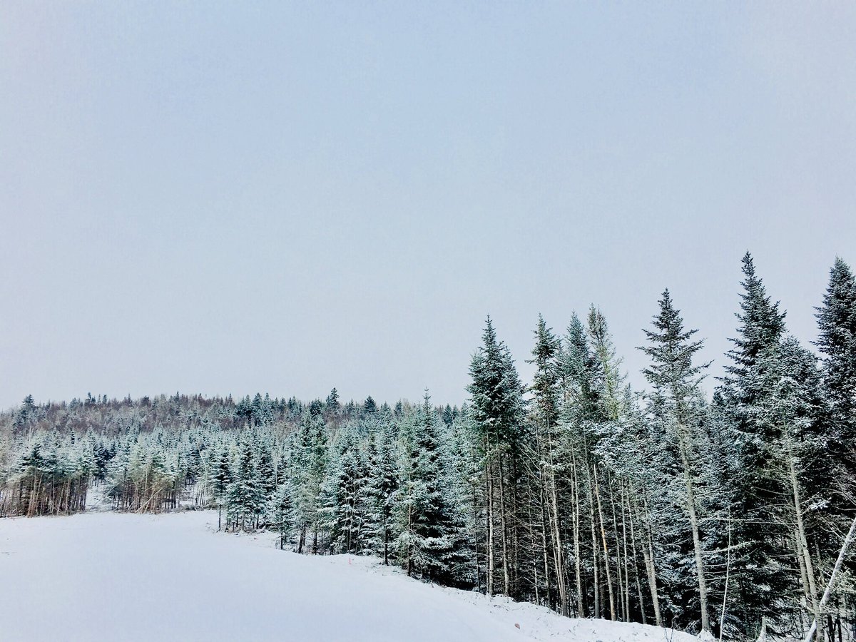 flutefox's tweet photo. My hike at work during lunch hour. My office door opens to #transcanadatrail. Just #meandmydog #peaceful #nbtrail #newbrunswick #EastCoast #eastcoastliving #ilovecanada #nature #ilovenewbrunswick https://t.co/2BB72gLxQR
