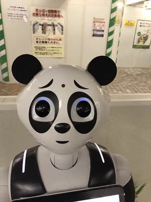 ペッパーくん、パンダに魔改造されるｗｗｗ　上野動物園のシャンシャンフィーバーが過熱した結果がこちらｗｗｗ　