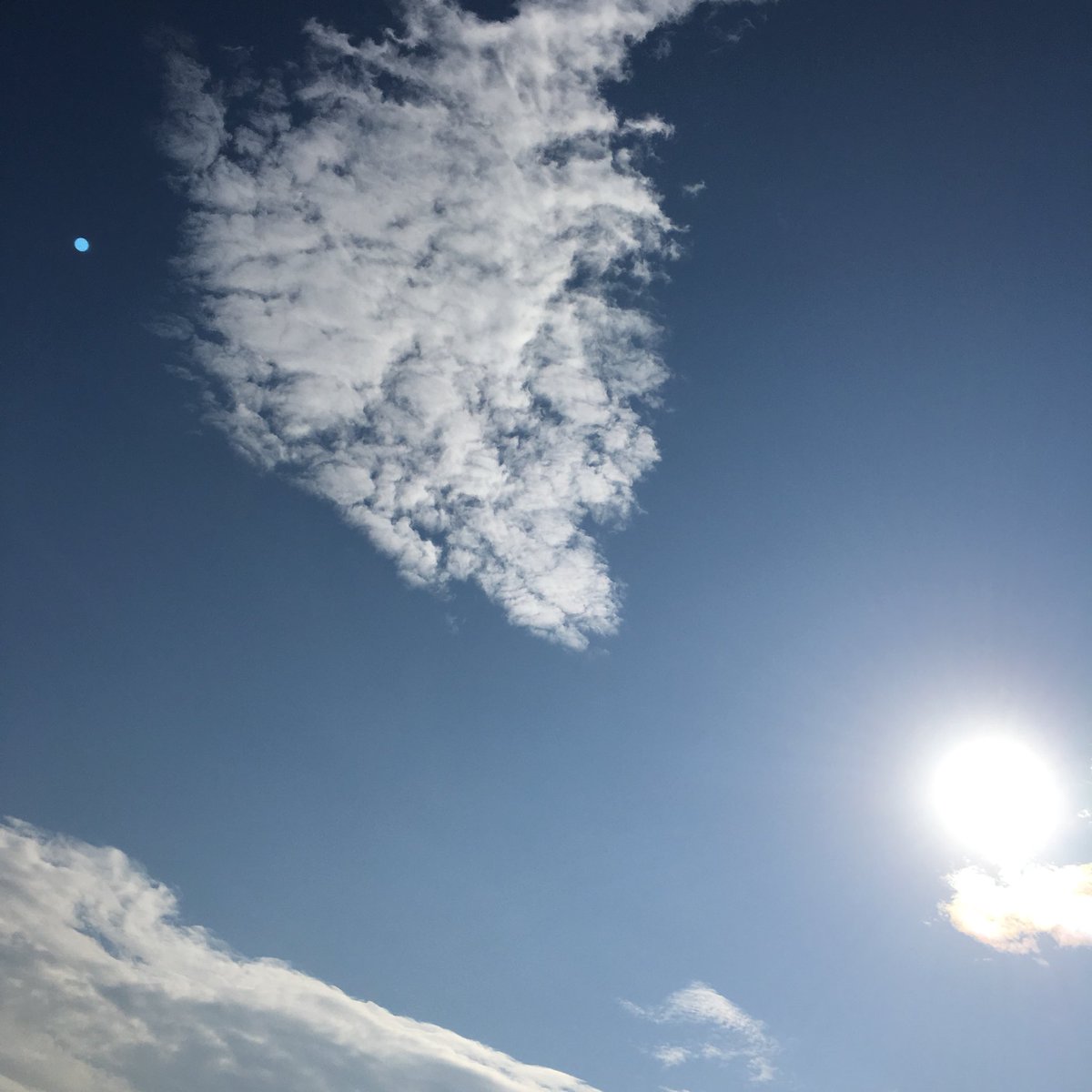 byunkimtaeyeon's tweet photo. Who knows this is #Jonghyun way of saying to us he loves us to the moon and back 💙

We love you too, 우리 종현이 🌹

#RestInLoveSHINEEJonghyun https://t.co/uqyrgetbT8