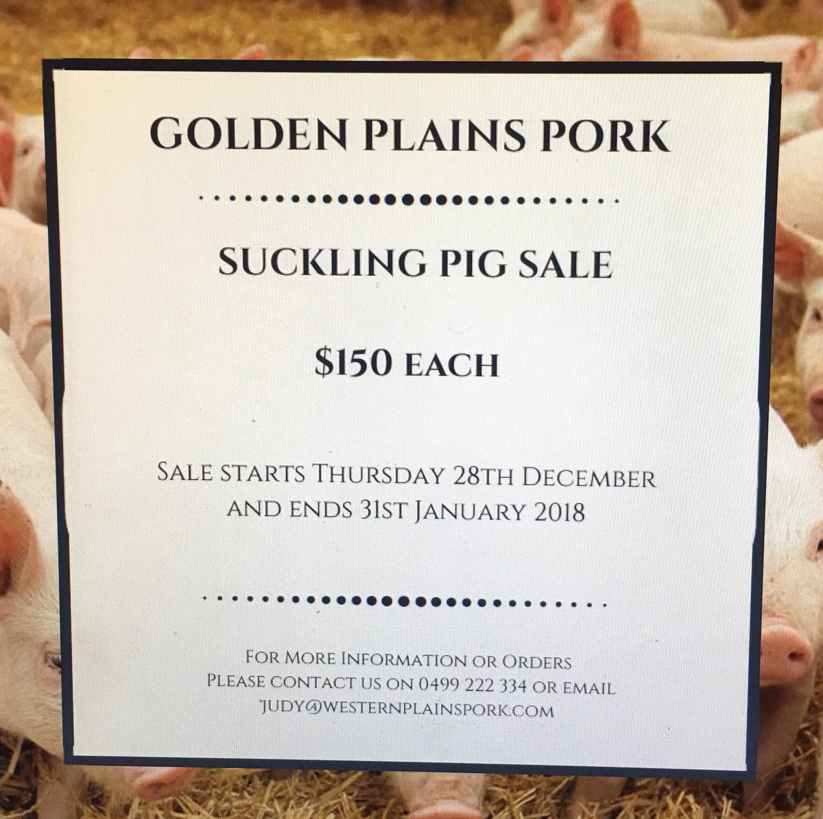 Western Plains Pork tweet media
