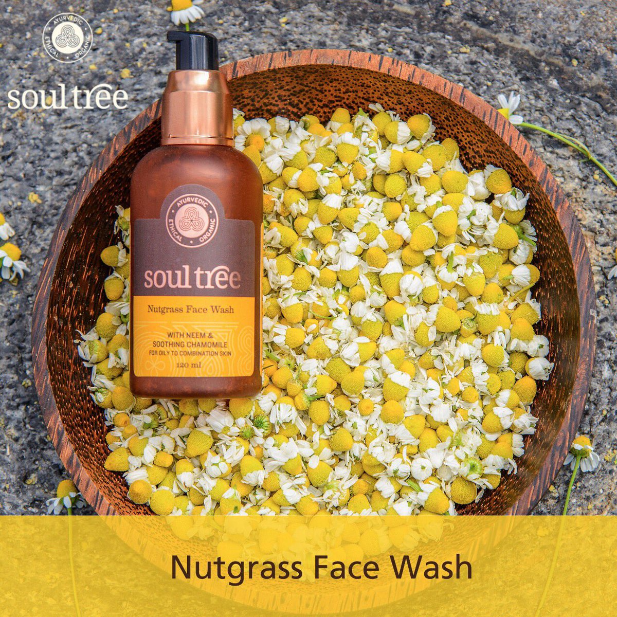 soul tree face cream for oily skin