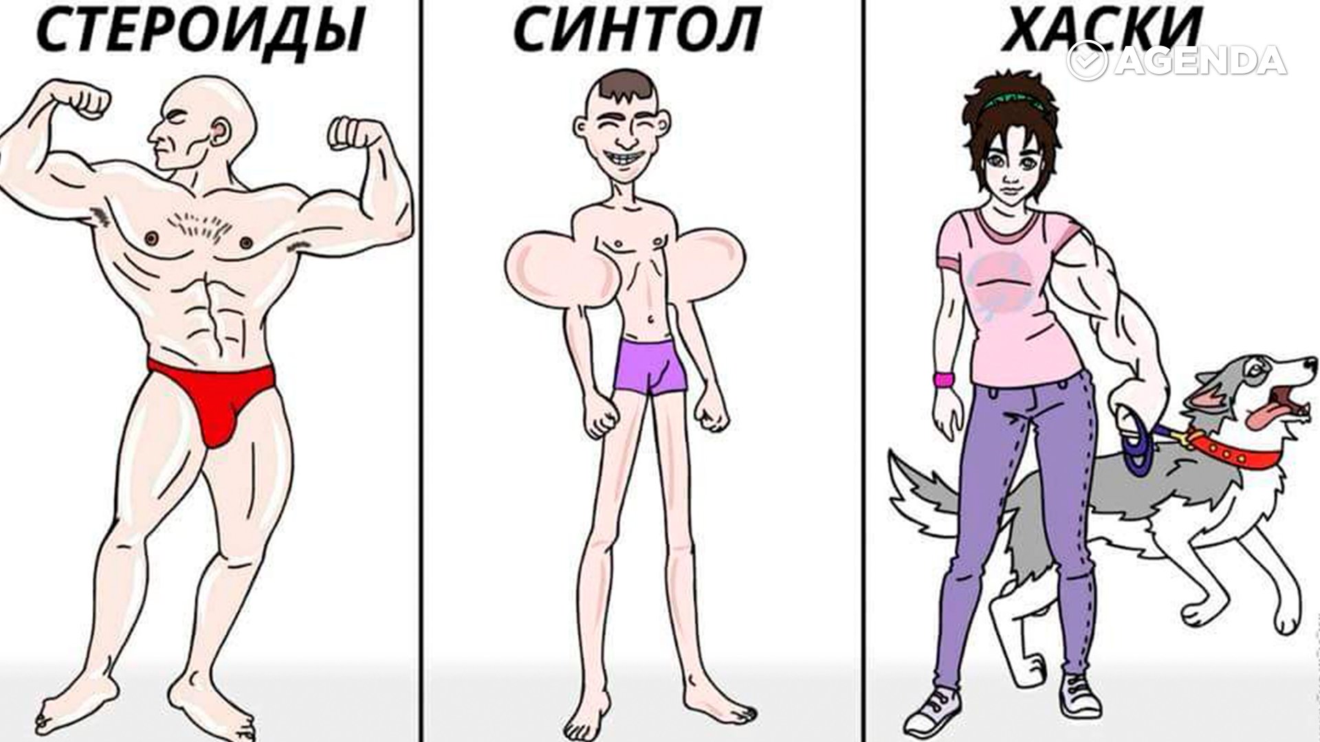 Приколы про стероиды