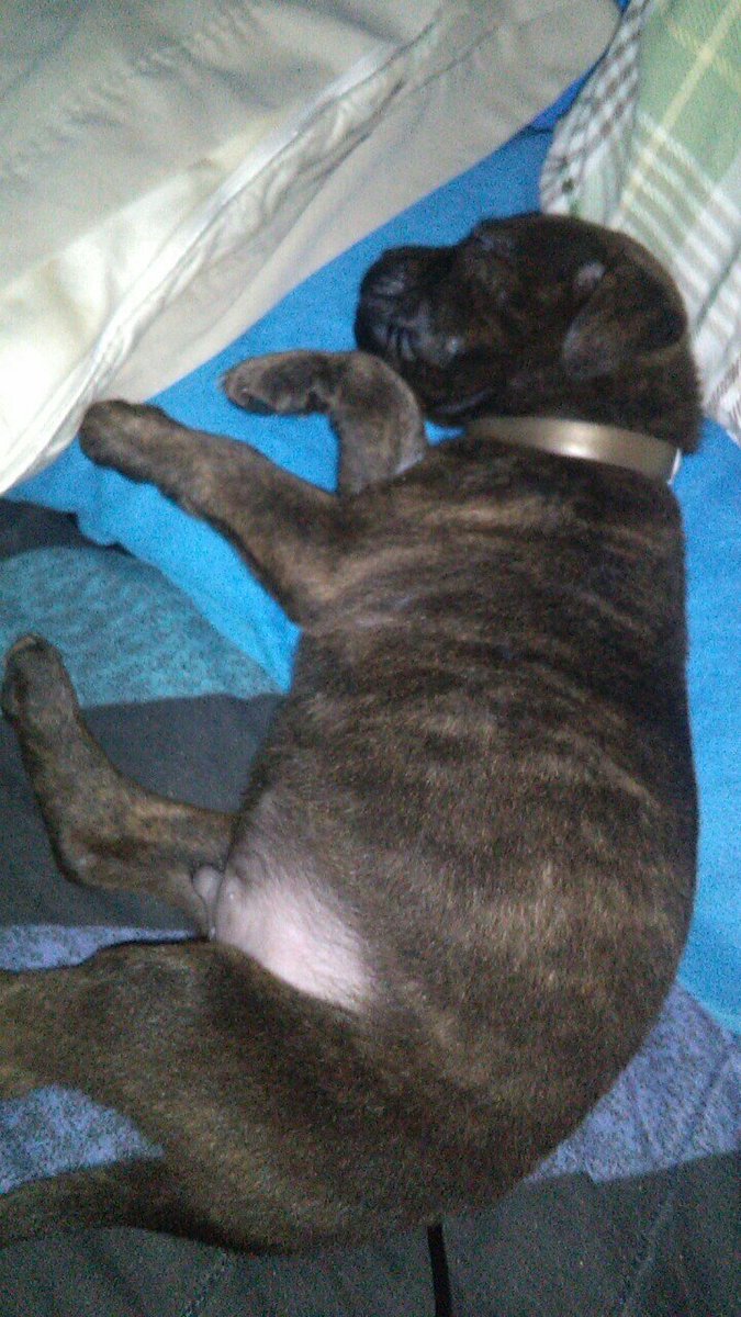 tylerdriver02's tweet image. 😏😏