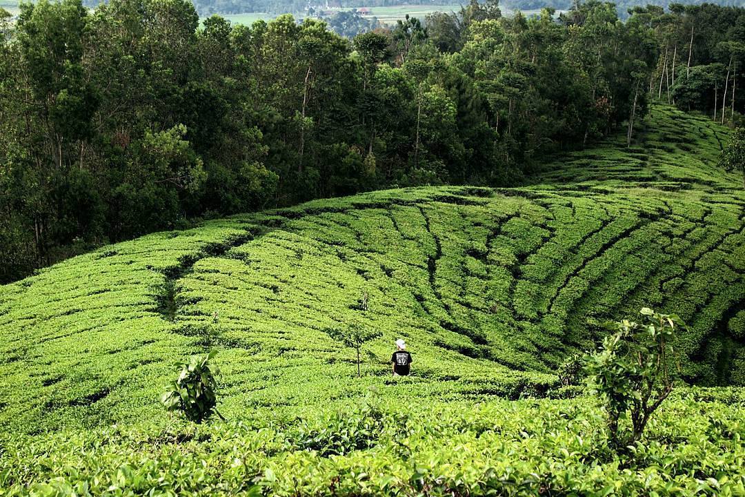 Liburandingawiaja Hashtag On Twitter Liburandingawiaja Hashtag On Twitter