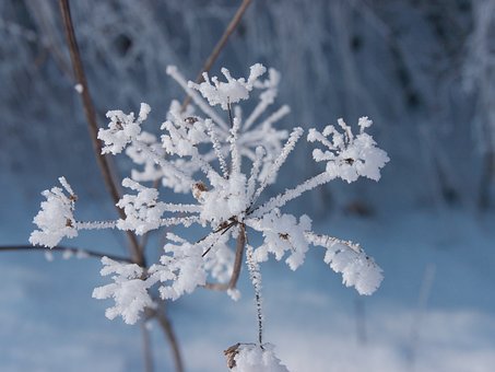 Grab the woollen hat and gloves because today is officially the start of #winter. We wish you all a wonderful winter wonderland!