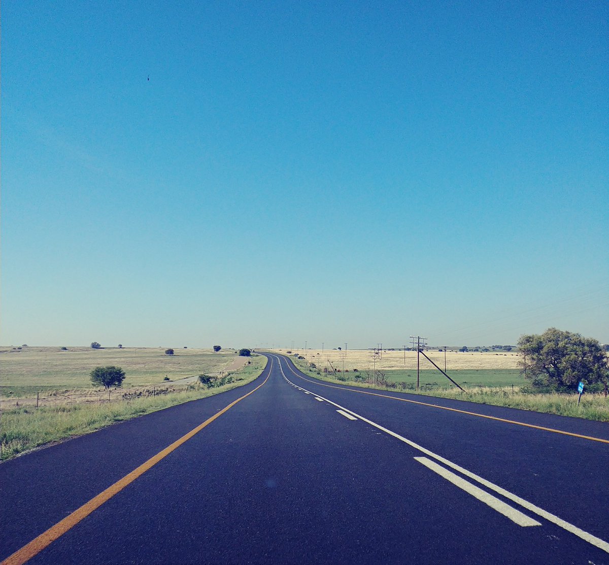 Namhla_Mayeki's tweet photo. I have identified my piece of land.
I want it all!
#Landwithoutcompensation https://t.co/5NVXeDx7aT