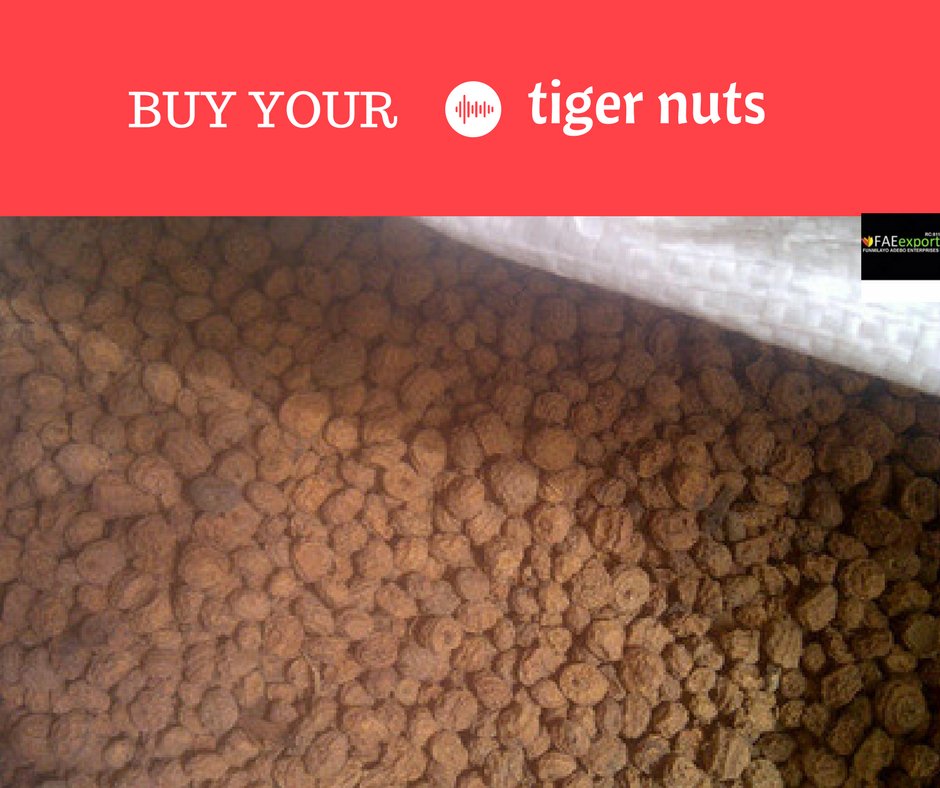 FaeExport's tweet photo. Whatever you decide to do. Make sure it makes you Happy.
We currently have Tiger nuts and we are so eager to supply
#Agriculture #Export #Lovedday #Tbt https://t.co/KvE9eszu74