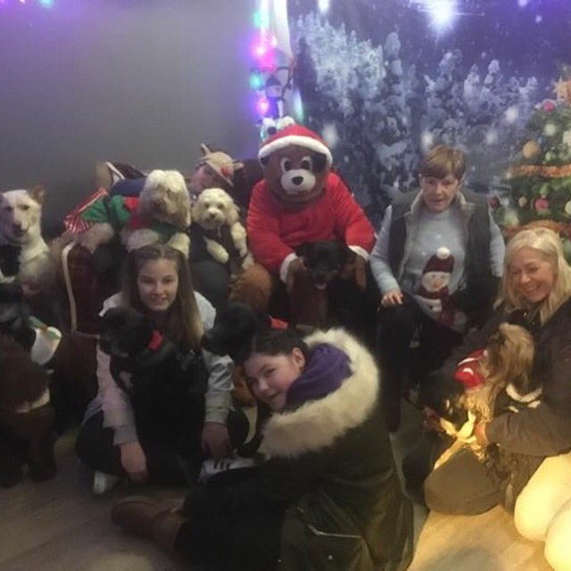 Dognasium Christmas Pawty with Santa Paws (aka Mr Dognasium! 😉)