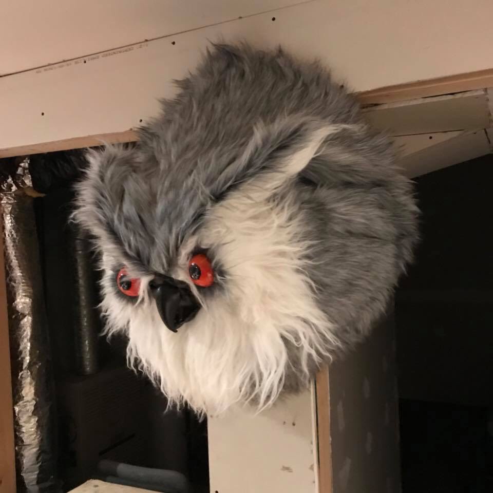 rpg_Em_'s tweet image. In character gift exchange resulted in our barbarian who loves to cut the heads off our vanquished foes drawing our DMs name (my husband) in our Christmas exchange and now we have an owlbear head to hang in our game cave! #DnD #NerdCrafting