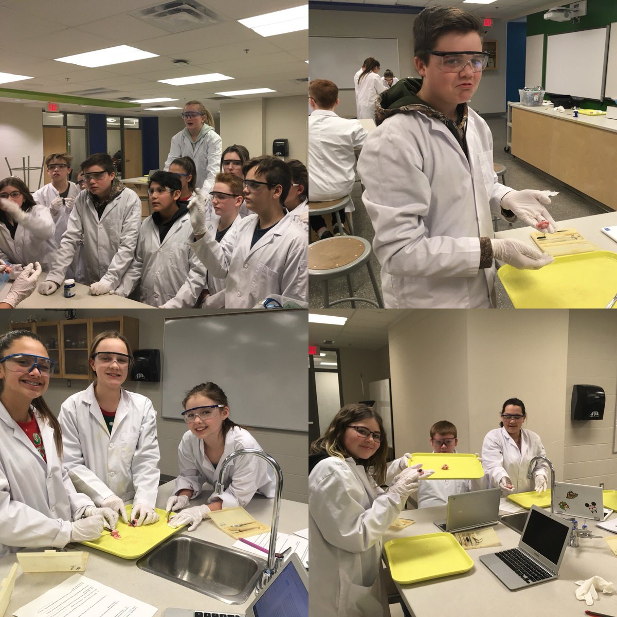 Tia_Grahn's tweet photo. Grade 8 eyeball dissection today! #handsonlearning #authenticlearning #creatingscientists #Ilovethisjob #schoolculture @PonokaSC https://t.co/ozjAIjq8Zv