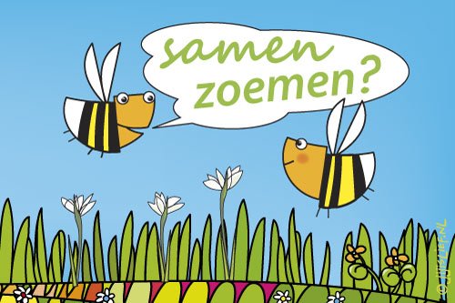 Laten we Nederland vol bijenstruiken planten : afhaaldag op 24/02/2018 omgeving Amsterdam. Meer info en reserveren via bijenvriend.be/nl/5-bijenplan… <a href="/pimlemmers/">Pim Lemmers</a> <a href="/VisieenPassie/">Ronald de Moor</a>