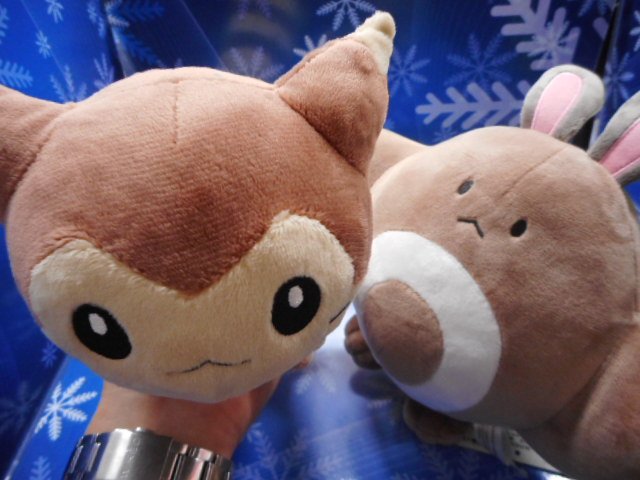 K Books Game館 ポケモン ぬいぐるみ入荷いたしました ルカリオにピカチュウ フシギダネ ニャビー オタチに オオタチ 入荷が滅多にない子もいますので是非 ギザかわゆす Kbooks Pokemon ポケモン