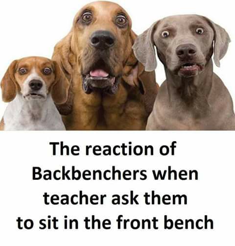 bluechip02's tweet photo. Backbenchers reaction
#bluechipentertainment #funny #funnypics #Entertainment #entertainmentweekly #Entertainment_Weekly #fun #funfact #funkibaat #funkibaat100 #hilarious
https://t.co/kOgvgROI11 https://t.co/6KbLfn71ip