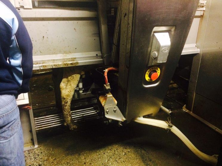 Installation of a generator on backup for Lely robot milking system.
#GeneratorsinWales #OffGridPowersolution

Source : bit.ly/2CNsbKk