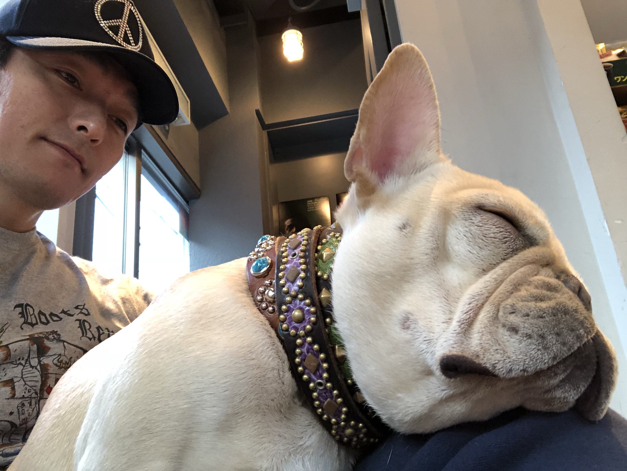 草彅 剛 クルミちゃんにクリスマスプレゼントと誕生日と言うことで首輪買ってあげました 一つに決められず 結局 3本です ここの首輪凄くオサレ T Co Bizopohg27 Twitter