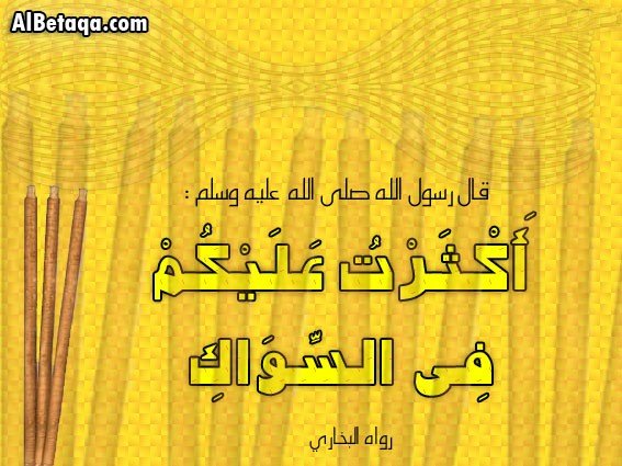 aldomuth's tweet photo. قال تعالى: (( وقل رب ارحمهما كما ربياني صغيرا )) #برالوالدين

#درر_الكلام #درر #قران #حكم #حديث #حقيقة #عبر https://t.co/TyPC1Swhwf