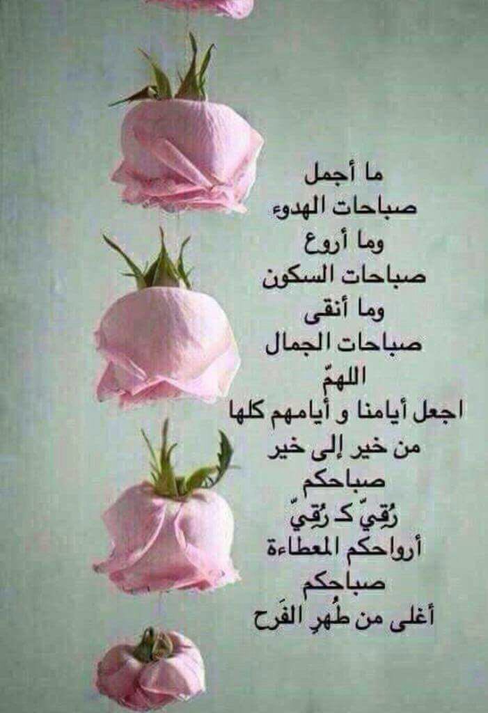 alosh000000 tweet picture