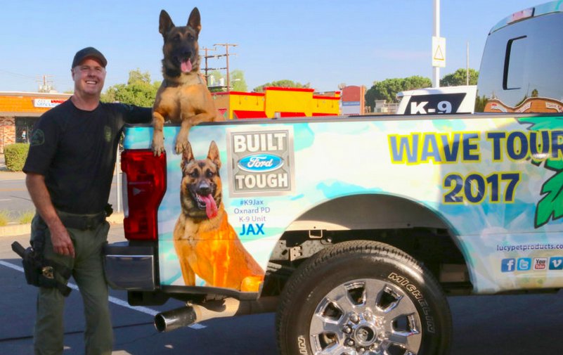 snapyeti tweet media