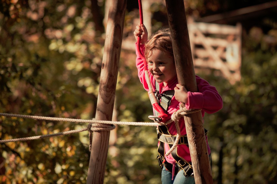 RealLakes's tweet photo. **COMPETITION**
WIN a family ticket to the fabulous @TreetopTrekUK 
Simply LIKE + RETWEET to enter!
Good Luck and Merry Christmas! 

#win #LakeDistrict #cumbria #reallakedistrict #daysout https://t.co/h5qNAI5g1k