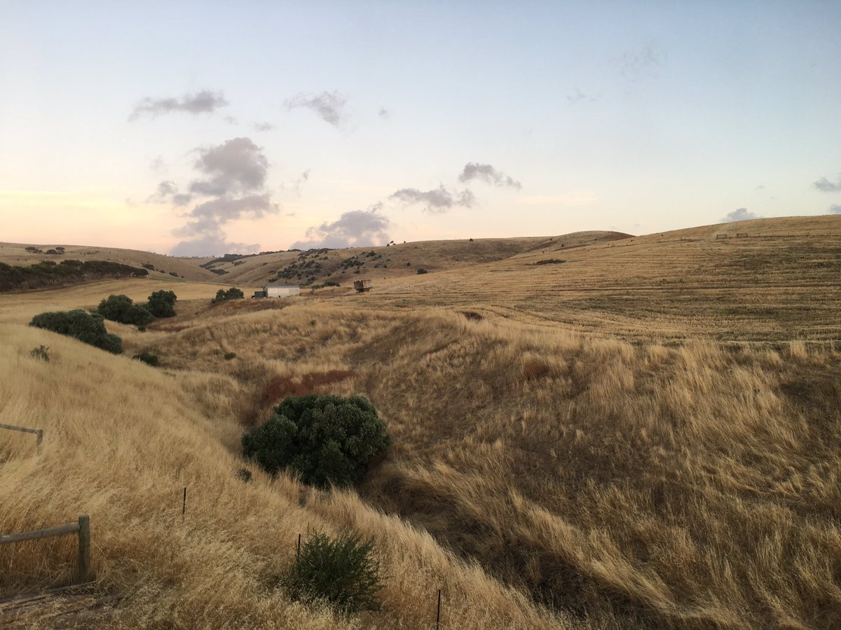 John_T_Watts's tweet photo. There really is no place like home 

#heapsgood #Croweater @southaustralia https://t.co/IrpqAI6t2N