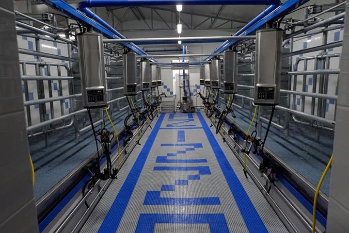 nappa_stefano's tweet photo. Water Buffaloes milking, #Delaval #zoomac #mozzarella https://t.co/TGvMBW1nwz