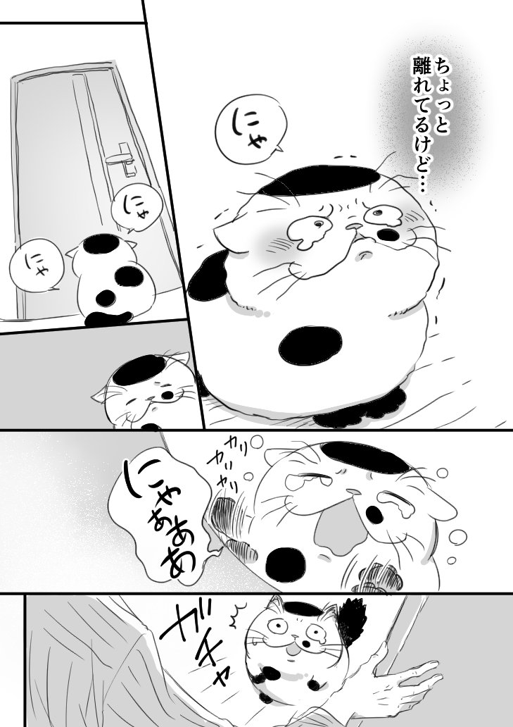 【猫漫画】おじさまと猫　「ふくまると黒いの」（前編） 