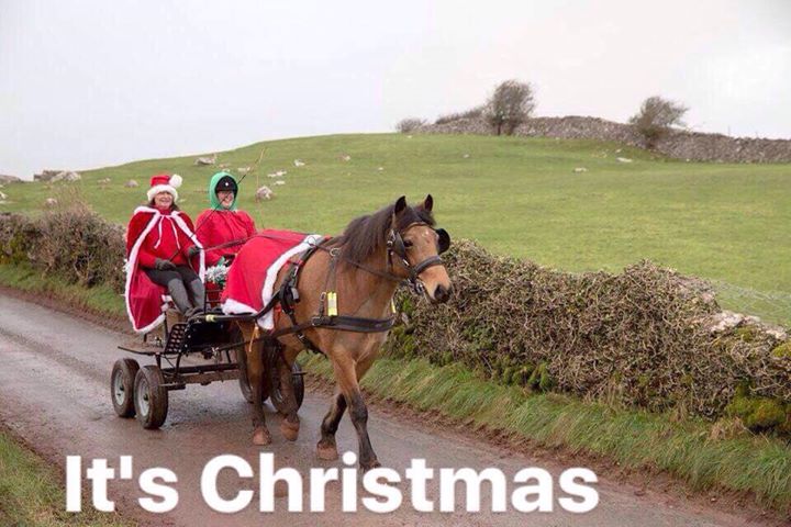 A wonderfully festive, Christmas carriage driving pic from Kaye Mciver:
The lovely Emily and her Fun Bug RS. With Kaye and Jeanette the elf!
❄️❄️❄️