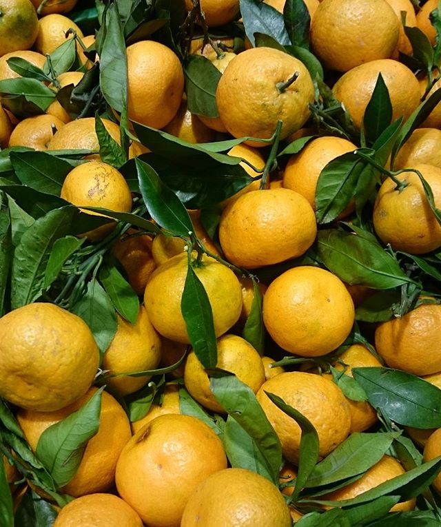 Jessica Fisher (@jessica82881707) on Twitter photo 